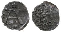 denar 156., Królewiec, niedobita ostatnia cyfra 