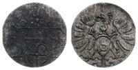 denar 1571, Królewiec, nad monogramem 9-cio list