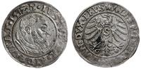 grosz 1532, Królewiec, niedobity, Slg. Marienbur