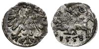 denar 1558, Wilno, piękny, Cesnulis-Ivanauskas 2