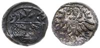 denar 1557, Elbląg, lekko gięty, ciemna patyna, 