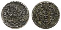 denar 1582, Gdańsk, patyna, rzadki i ładnie zach