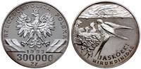 300.000 złotych 1993, Warszawa, Jaskółki /hirund