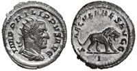 antoninian 248, Rzym, Aw: Popiersie cesarza w pr