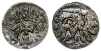 denar 1558, Gdańsk, rzadki, z lustrem menniczym,