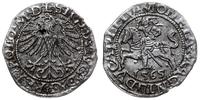 Polska, półgrosz, 1565