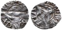 denar 1024-1039, Aw: Głowa cesarza w lewo, CONRA