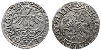 półgrosz 1561, Wilno, końcówki napisu L/LITV, Ce