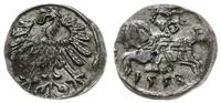 denar 1558, Wilno, patyna, ładnie zachowany, Kop