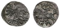 denar 1559, Wilno, ciemna patyna, Kop. 3217 (R3)