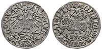 Polska, pólgrosz, 1550