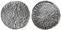 Polska, półgrosz, 1557