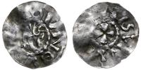 naśladownictwo denara Bernarda I lub II 1010-102