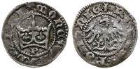 Polska, denar, lata 1394-1395