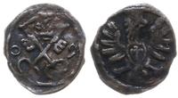 denar 1609, Poznań, ciemna patyna