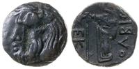 Grecja i posthellenistyczne, brąz, 320-310 pne