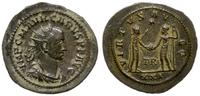 antoninian 282-283, Trypolis, Aw: Głowa cesarza 