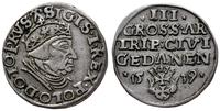 trojak 1539, Gdańsk, popiersie króla w czepcu i 