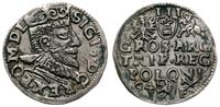 trojak 1594, Poznań, wydłużona twarz króla, koro