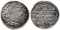 trojak 1594, Poznań, wydłużona twarz króla, koro