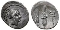 denar 83 pne, Rzym, Aw: Głowa Wenus w prawo, po 