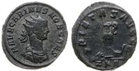 antoninian bilonowy 282-283, Rzym, Aw: Popiersie