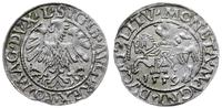 Polska, półgrosz, 1559