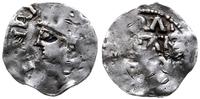 denar 1002-1014, Aw: Popiersie cesarza w lewo, H