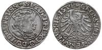 grosz 1534, Toruń, popiersie z długimi włosami i