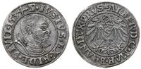 Prusy Książęce 1525-1657, grosz, 1534