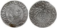 grosz 1543, Królewiec, końcówka napisu PRVSS, Sl