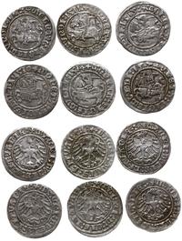 zestaw: 6 x półgrosz litewski roczniki: 1510-151