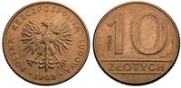 10 złotych 1989 , PRÓBA MOSIĘŻNA, moneta próbna,