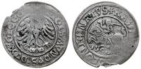 Polska, grosz, 1506