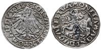 Polska, półgrosz, 1557