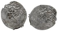 denar bez daty (ok. 1392-1394), Kijów, Aw: Tarcz