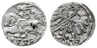 denar 1558, Wilno, Kop. 3216 (R2), Tyszkiewicz 4