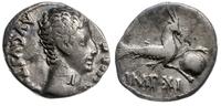 denar 12 pne, Lugdunum, Aw: Głowa cesarza w praw