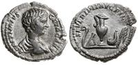 denar 199-200, Laodicea, Aw: Głowa cesarza w pra