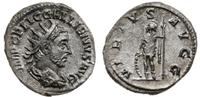 antoninian 253-268, Rzym, Aw: Głowa cesarza w pr