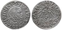 Prusy Książęce 1525-1657, grosz, 1541