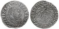 grosz 1543, Królewiec, Slg. Marienburg 1185, Vos
