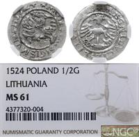 Polska, półgrosz, 1524