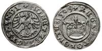 Polska, półgrosz, 1509