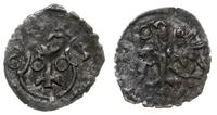 denar 1603, Wschowa, Aw: Orzeł, przy dziobie lit