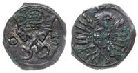 denar 1603, Poznań, skrócona data 0-3, H-Cz. 119