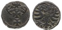 denar bez daty, Gdańsk, CNG 48, Kop. 7253 (R4), 