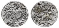 denar 1547, Wilno, bardzo rzadki rocznik, Cesnul