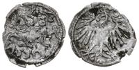 Polska, denar, 1550