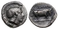didrachma ok. 450-340 pne, Aw: Głowa Ateny w heł